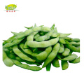 Wholesale IQF frozen edamame in pod